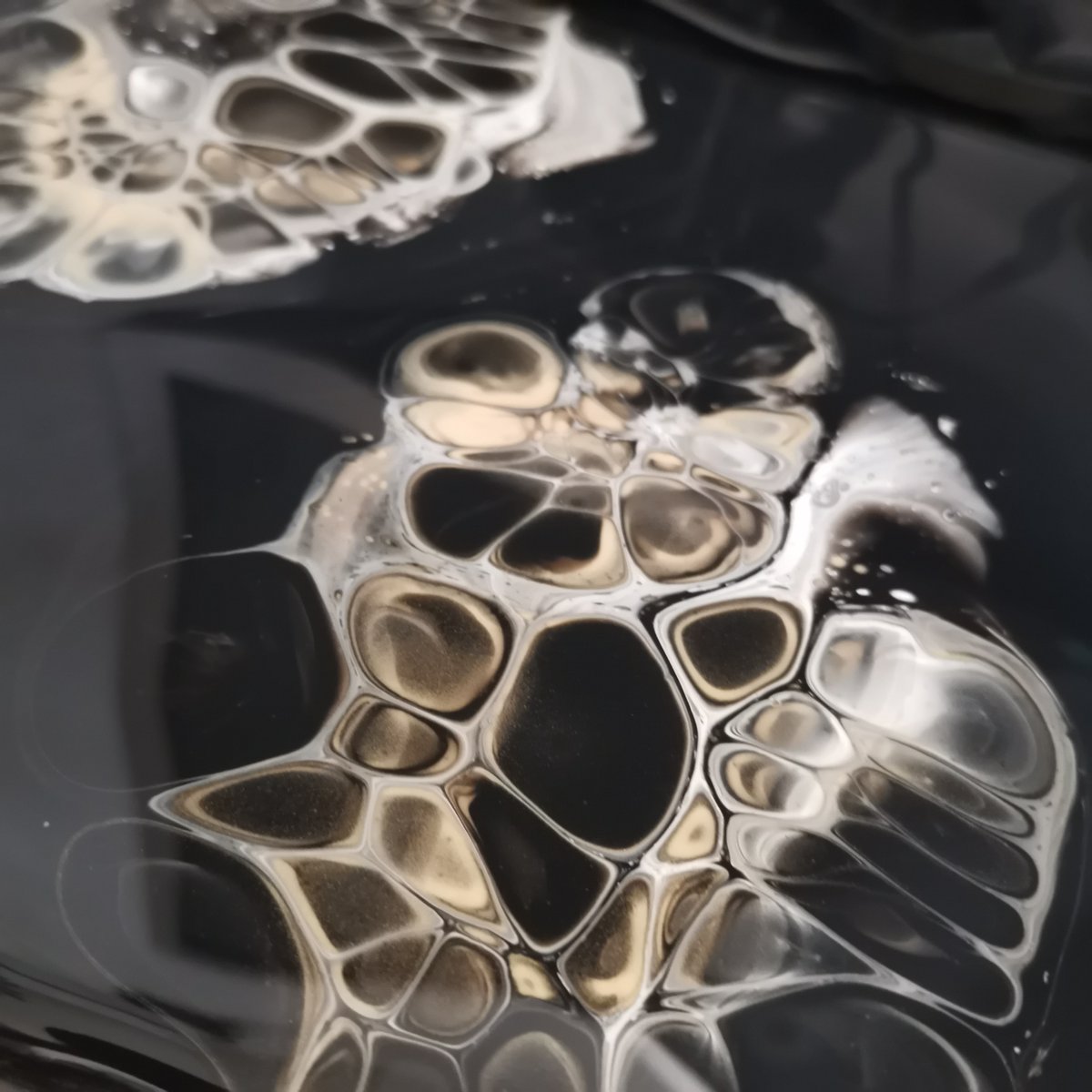 kevichArt's tweet photo. ๐Macro ceils ๐งโฌ๏ธ
Don't be shy. Pls ๐&โค๏ธ
Do you what to own an 1/1 original of this work?
#fluidart #ceils #pouring #abstractart #abstractartist #absitractarwork #pouringart #pour #Abstract #contemporaryart #FLUID #fluidpouring #artist #painting #paintings #Kevich #KevichArt https://t.co/dd1tHuIWxY