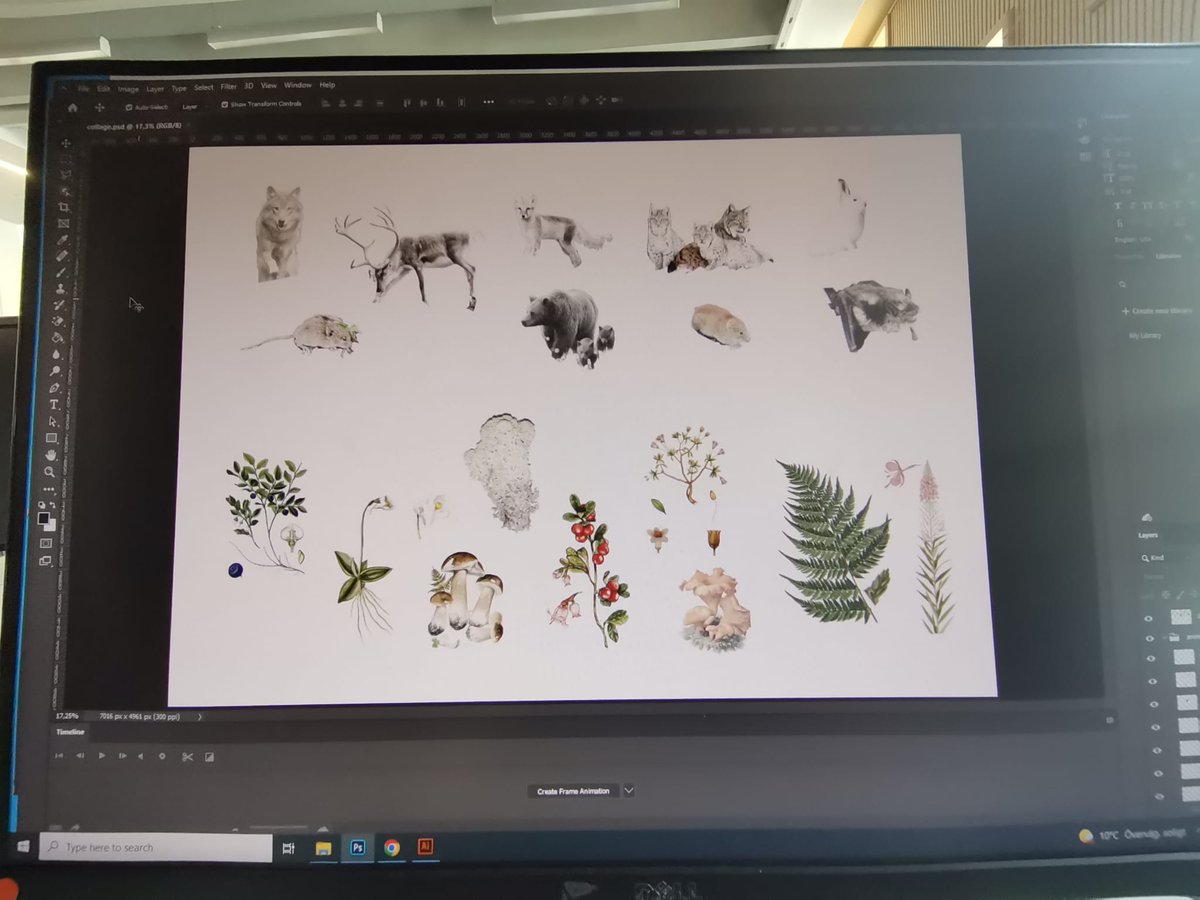 Northern flora and fauna #mastersproject