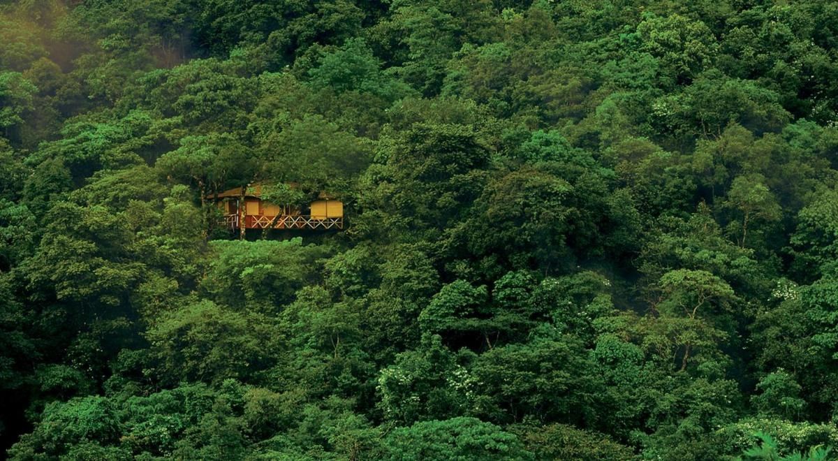 Travel_Pollachi's tweet photo. Luxury Tree house stay #wayanad Honeymoon specials from SafeTravelsPollachi, pack your bags and relax we will drop you back to your home after a great lifetime moments and memories. 
#wayanad #safetravels #pollachi #honeymoon #treehouse. https://t.co/RE16bRHvnW
