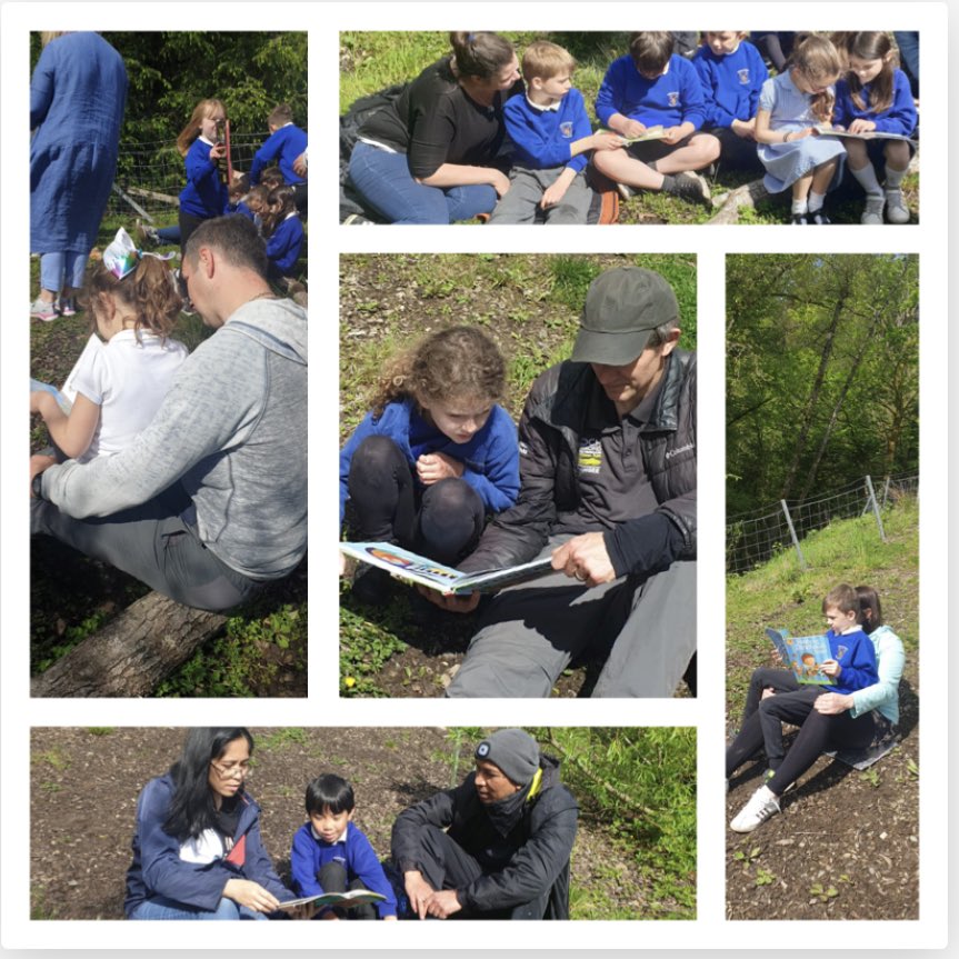 strathyps1's tweet photo. After a busy time dinosaur building, we made the most of the lovely weather to read with our families by our new pond ☀️ 📚 🦕 #StrathyreReads #StrathyreLearnTogether https://t.co/Qj8Bt1sEdR
