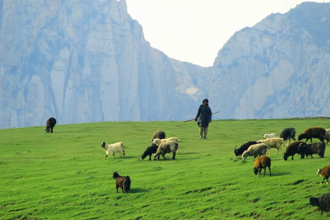 د بلخ ښکلې مارمل ولسوالي 😍
#وطن
#ښایستونه