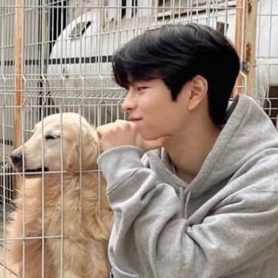 sincerelygav's tweet photo. good boy.                      gone bad. https://t.co/pUcJcrCRf9