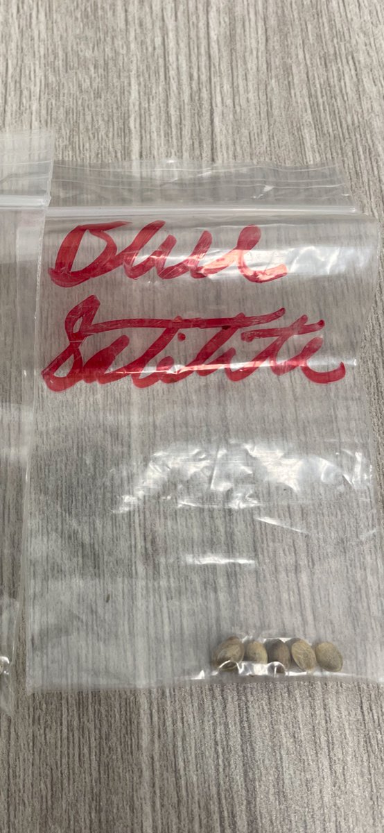 ExtinctGenetics's tweet photo. @breeder_steve look what I was gifted the other night. Super stoked https://t.co/LOnnMotY0I