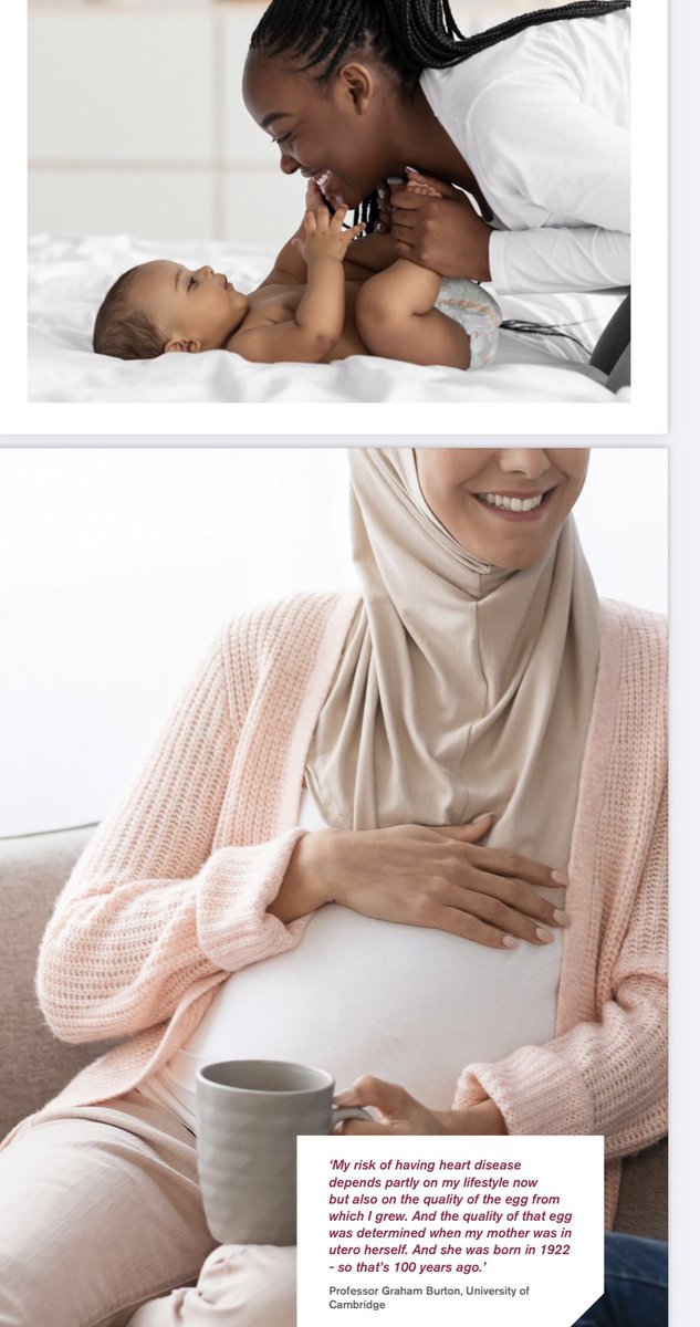 MirZyme Therapeutics tweet media