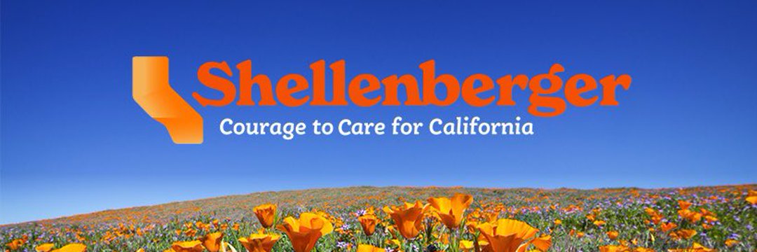 cwn247's tweet image. There's only ✌️names on this list that matter June 7th #GeneralPrimary
@ShellenbergerMD @GavinNewsom

#TheWinner 
&amp;amp; 
#TheLoser

ballotpedia.org/California_gub…