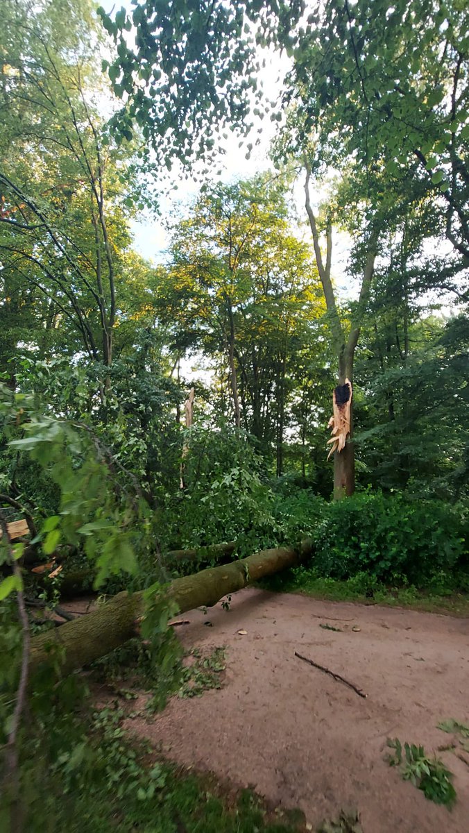 iManrik's tweet photo. Kollateralschäden der globalen Erwärmung https://t.co/EVeAcZ0AJ5