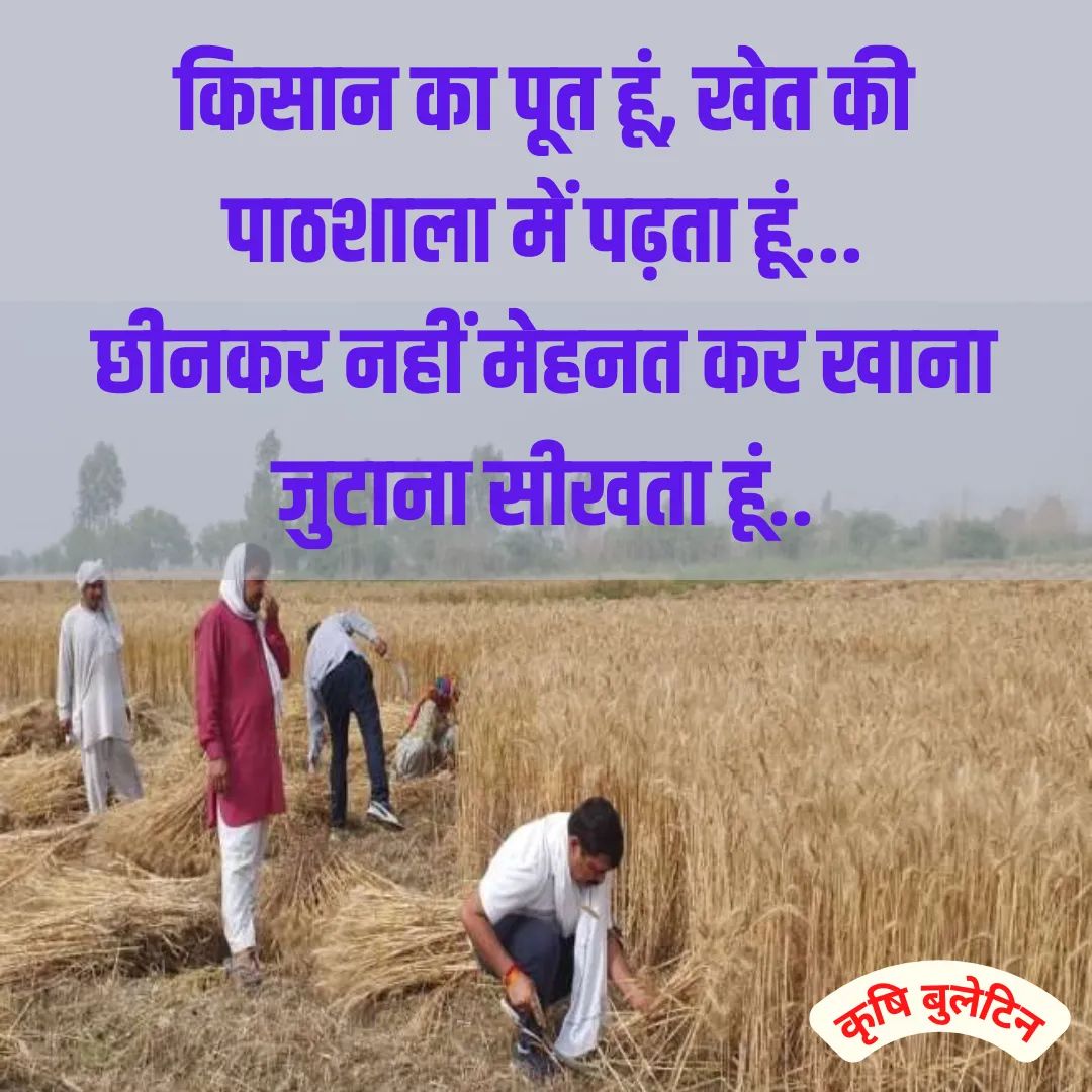 Sports_Kuldeep's tweet photo. सभी भाइयों-बहनों को खेती-किसानी वाली राम-राम...
#सुबहकीरामराम #सुप्रभात #खेतीकिसानी #krishiupdates #FarmingUpdates https://t.co/v8IkSQLxvw
