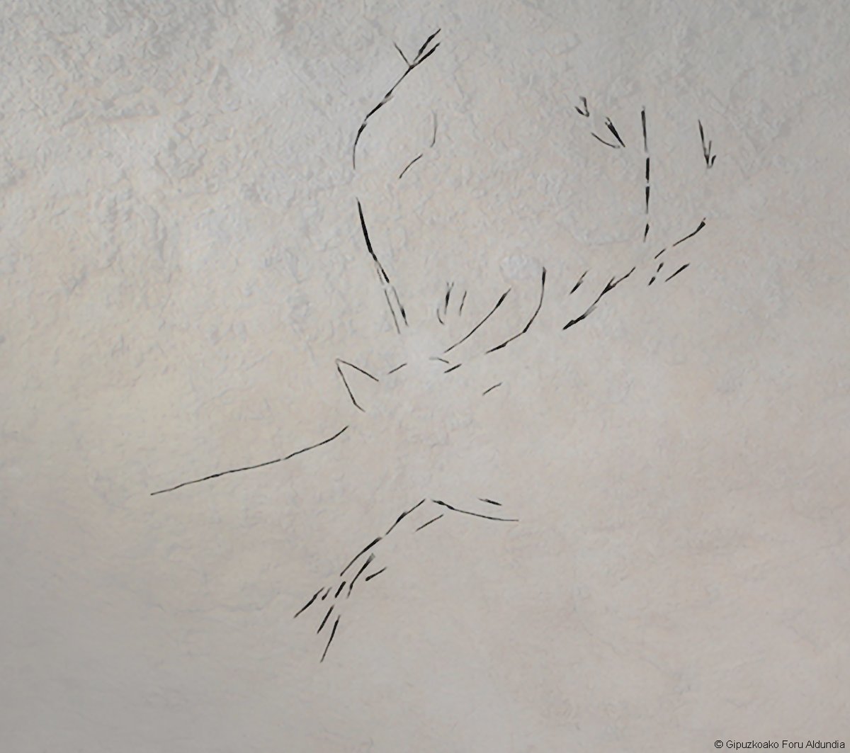 PreGraphity's tweet photo. ☀️Good morning! This #FridayPaleoArt we will go to @geoparkea in Basque Country to visit one of the last discoveries...! #FillingTheVoid #BasqueCountryVoid
Cave: #ArbilV or #Sustraixa
Place: Deba (Gipuzkoa)
Motif: Engraved Deer
Chronology: #UpperMagdalenian https://t.co/egNQEJs2XL
