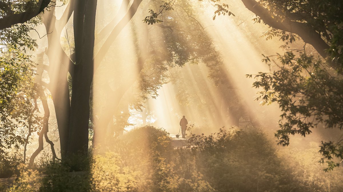 Betuwefotograaf.nl tweet media