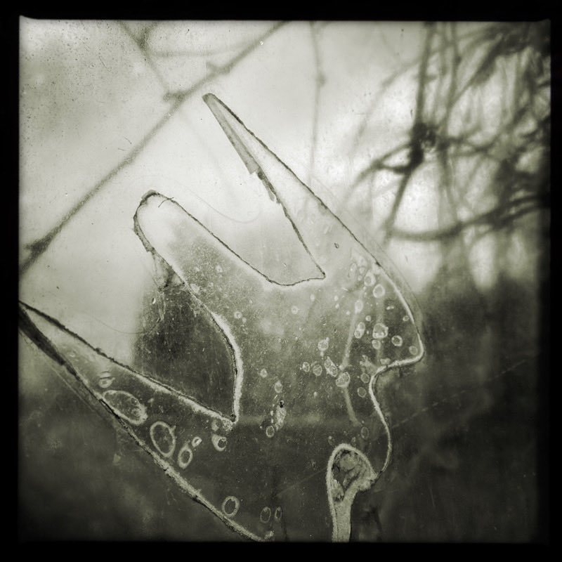 herbholzmann tweet media