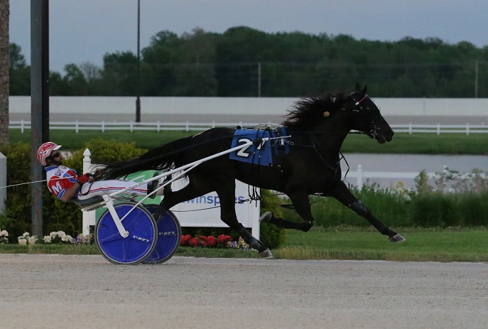 Indiana Harness on Twitter: