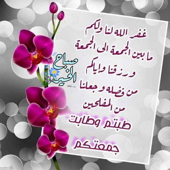 ابوبكر مترجم (@coolabuu271) on Twitter photo 