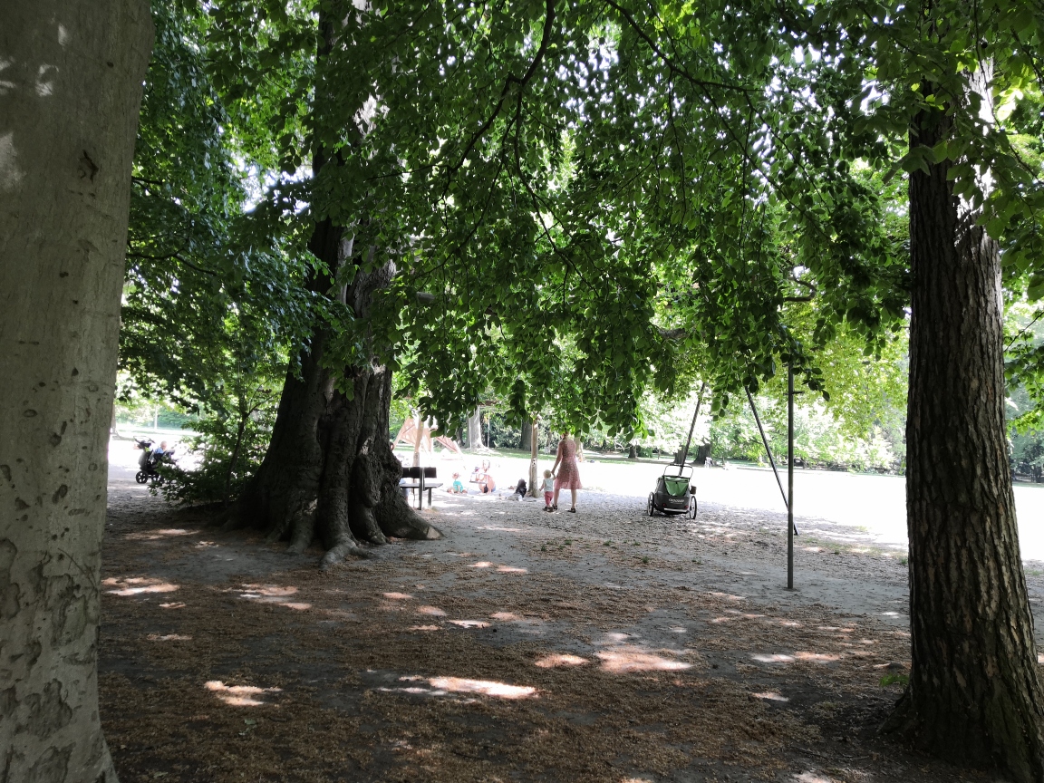 thegoecampus's tweet photo. Our #PostdocParent picnic in Göttingen’s magical Schillerwiesen playground, including an astrophysicist, an anthropologist, an entomologist, a soil scientist, their kids and a husky! Connecting researchers in Göttingen: https://t.co/y293Hphkia #GCPostdocs #StrongerTogether https://t.co/UxOSviei4y