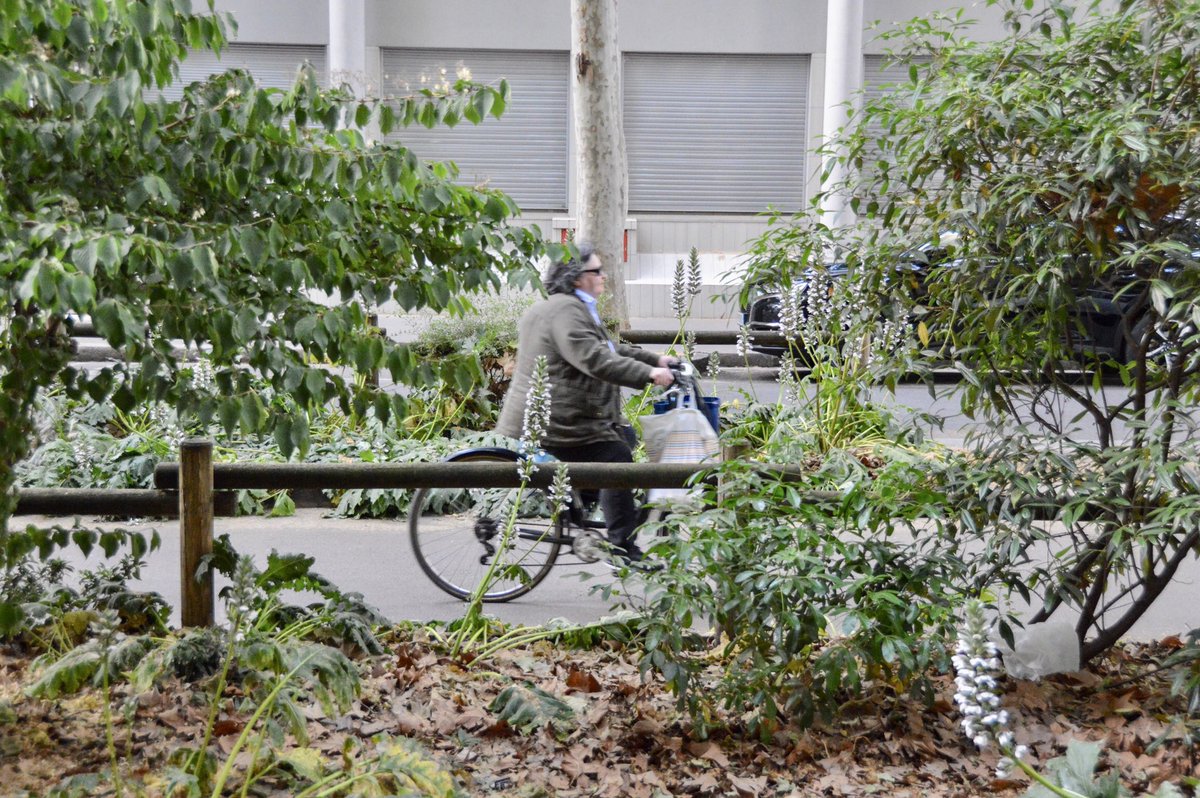 modacitylife's tweet photo. If designed in a wholistic and substantive way, cycling infrastructure can be more than just transporting people from A to B.

It can be used as an effective tool in the fight against climate change; improving carbon absorption, heat mitigation, rain retention, and bio-diversity. https://t.co/Zt3cl1G87R