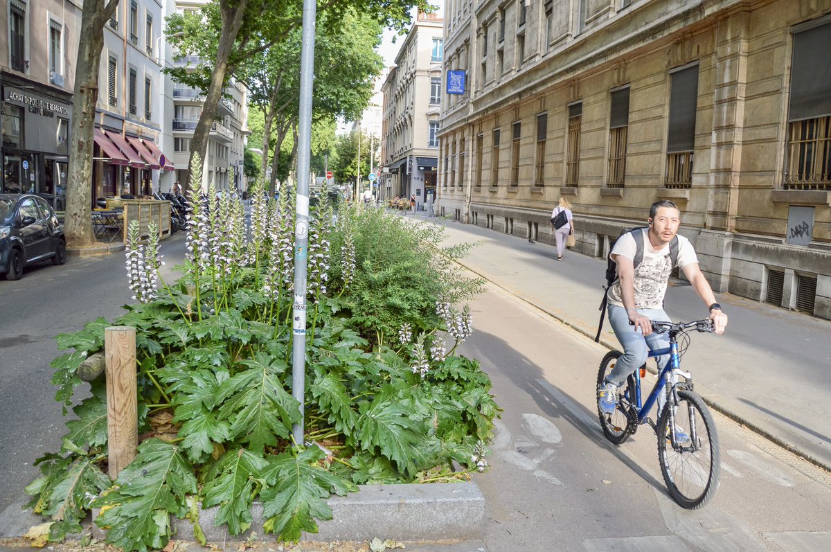 modacitylife's tweet photo. If designed in a wholistic and substantive way, cycling infrastructure can be more than just transporting people from A to B.

It can be used as an effective tool in the fight against climate change; improving carbon absorption, heat mitigation, rain retention, and bio-diversity. https://t.co/Zt3cl1G87R