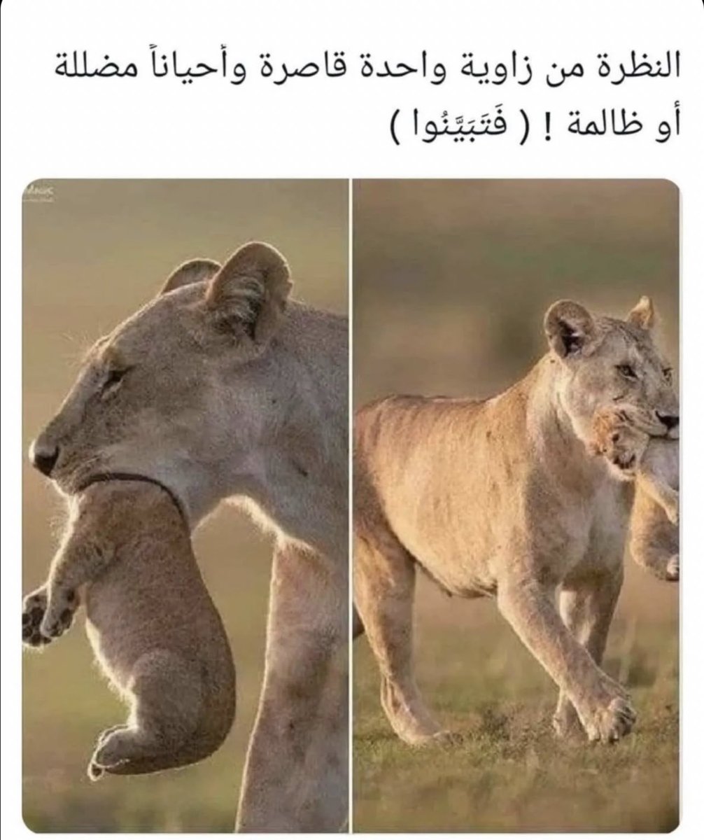 Rowdan6's tweet image. 