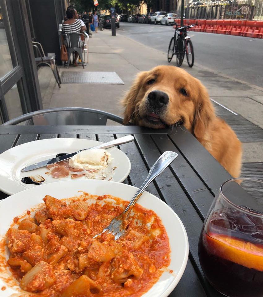 dinogodwhale's tweet image. "Not beggin’... jus lookin’... 👀😛"