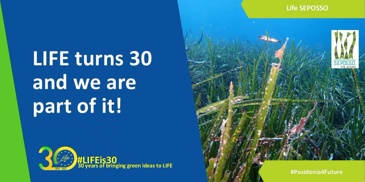 On May 21, the LIFE program, the EU's funding instrument for the environment and climate action, will turn 30 years #LifeSEPOSSO will participate by organizing educational events for schools, with trips to the sea to talk about the environment and #Posidonia4future #LIFEis30 💪💪