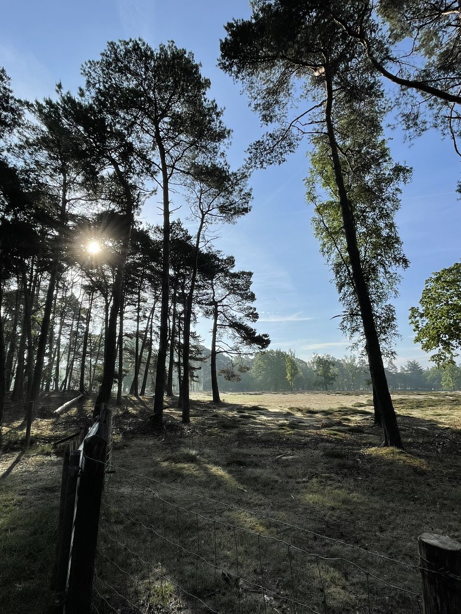 Goooodmorningggggg !