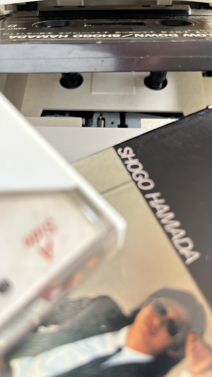 𝐦𝐚𝐬𝐚❝ 悠々とマイペース tweet media