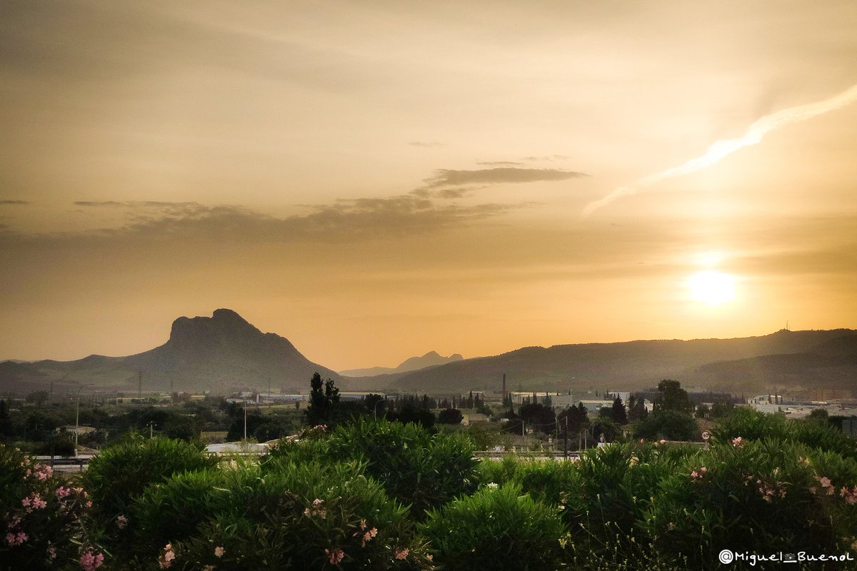 Miguel_BuenoL's tweet photo. Buenos días! Y "Que salga el sol por Antequera"
#antequera #amanecer 
@tiempobrasero @Eltiempoalsur @ATQaTuCorazon @ElTiempo_tve @MeteoCanalSur https://t.co/7axl3wNj9a