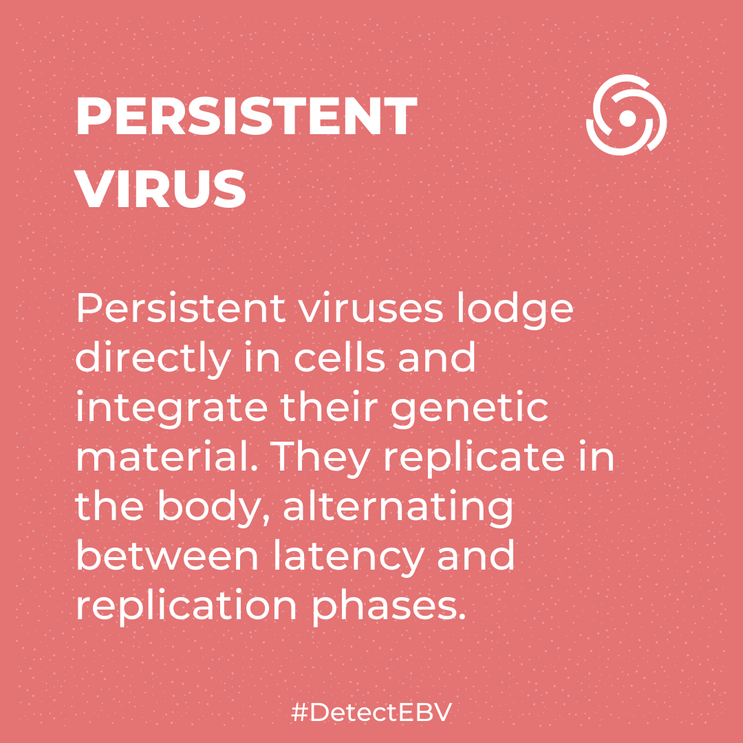 DetectEbv's tweet photo. EBV is one of the persistent viruses like the viruses of the Herpes group: HSV, CMV, Varicella-Zoster... Persistent viruses lodge directly in the cells and integrate their genetic material.
#DetectEBV #EBV #EpsteinBarr #Everybodysvirus #EBVtrackers #EBVexplorers #EBVHeroes https://t.co/pGQUzk5EIB