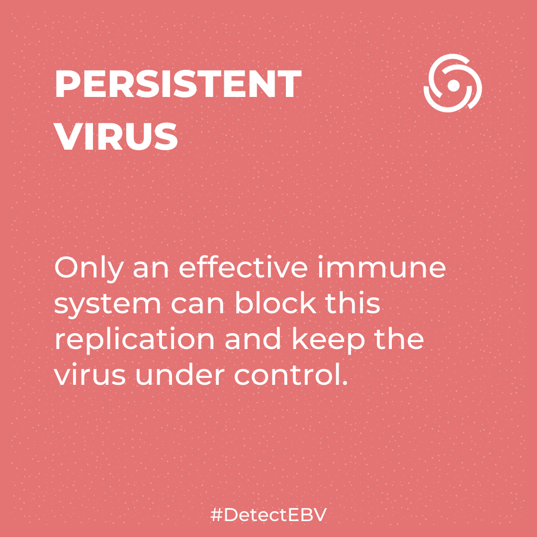 DetectEbv's tweet photo. EBV is one of the persistent viruses like the viruses of the Herpes group: HSV, CMV, Varicella-Zoster... Persistent viruses lodge directly in the cells and integrate their genetic material.
#DetectEBV #EBV #EpsteinBarr #Everybodysvirus #EBVtrackers #EBVexplorers #EBVHeroes https://t.co/pGQUzk5EIB