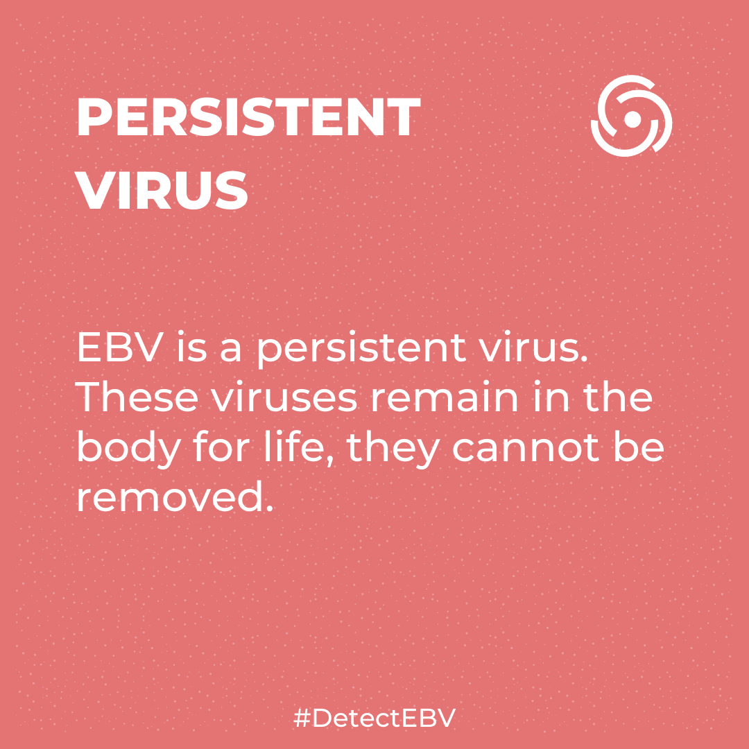 DetectEbv's tweet photo. EBV is one of the persistent viruses like the viruses of the Herpes group: HSV, CMV, Varicella-Zoster... Persistent viruses lodge directly in the cells and integrate their genetic material.
#DetectEBV #EBV #EpsteinBarr #Everybodysvirus #EBVtrackers #EBVexplorers #EBVHeroes https://t.co/pGQUzk5EIB