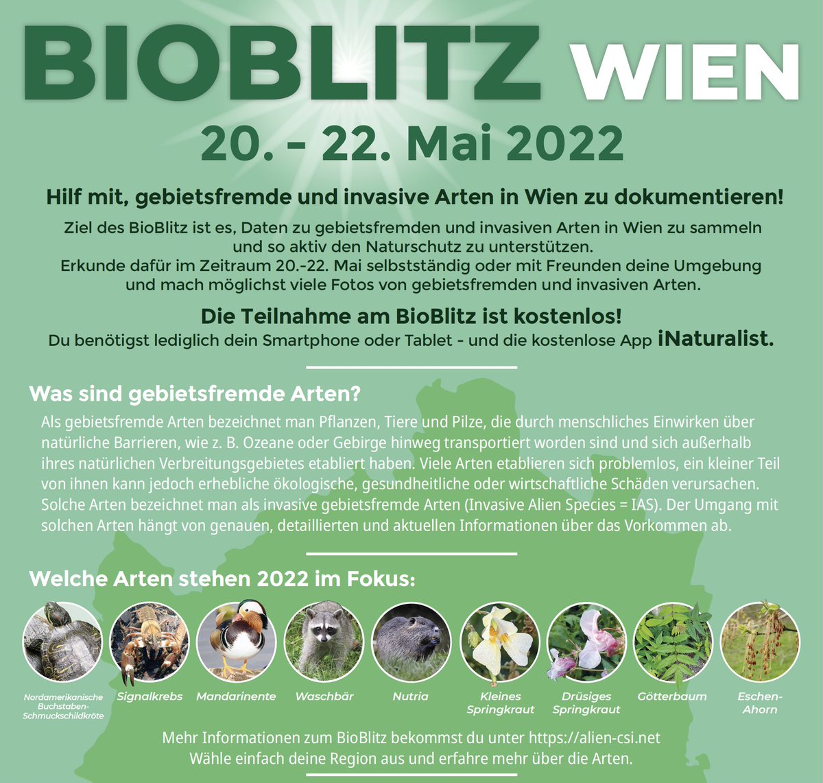 BIOBLITZ 2022 in Vienna, starting today! 20-22 May. Photograph as many species of animals and plants as possible with yr mobile phone, identify them with the help of iNaturalist App and help nature conservation to build up a databank of species in Vienna!
alien-csi.net.