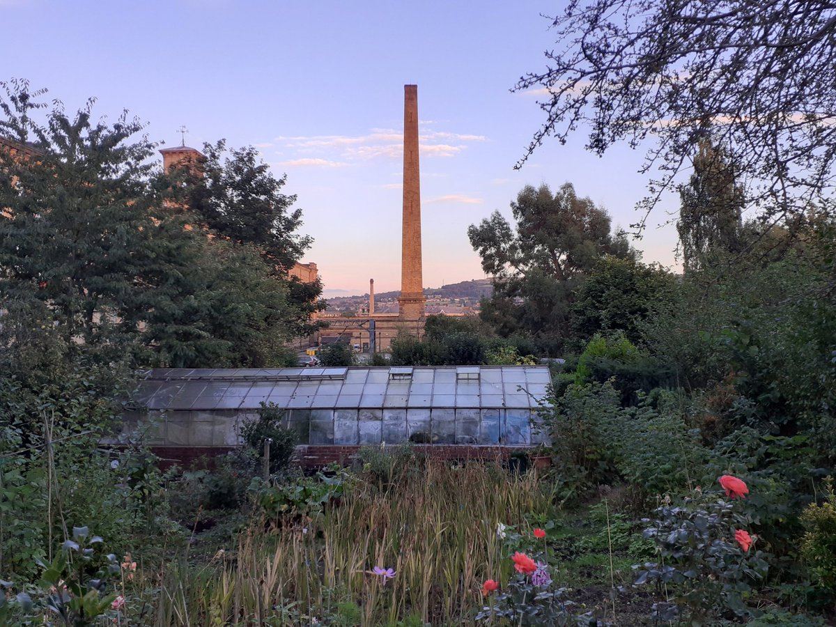 Christine Edmonds 🧡 tweet media