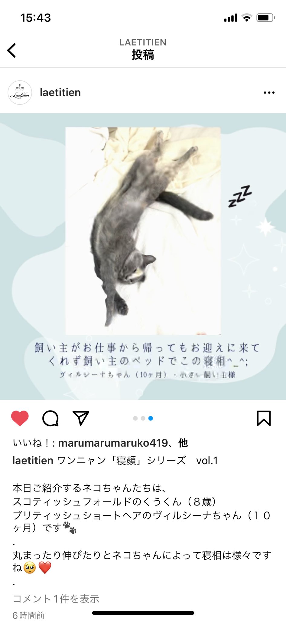 違うデザイン レティシアン カナガンキャットフード 1 5kg ４袋 Artroscopia Com Ar