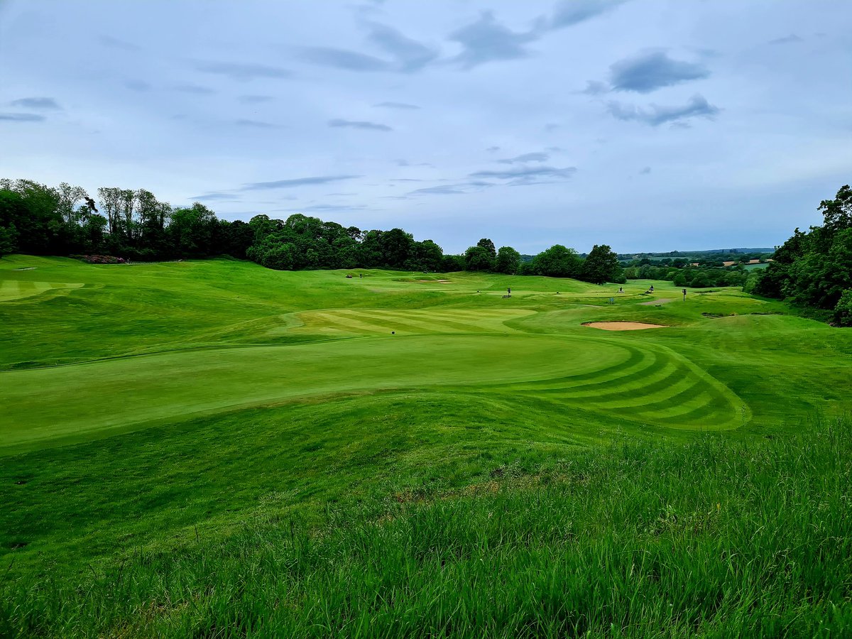 Victoria Hills tweet media