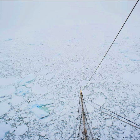 EcoClipper's tweet photo. "[A] master mariner taught me about many aspects of the environmental pressure caused by shipping... in expeditions to Antartica I heard first-hand and saw with my own eyes the effects of climate chaos."

 - Jorne Langelaan

📸 Bark Europa by Valentin Z.

 #EcoClipper #SailCargo https://t.co/1NHuB4h3h8
