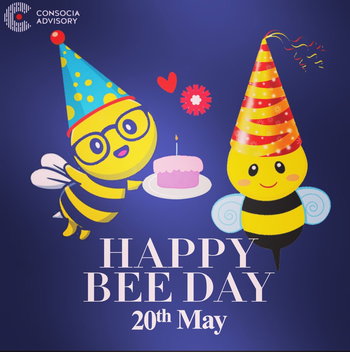 Consocia Advisory tweet media