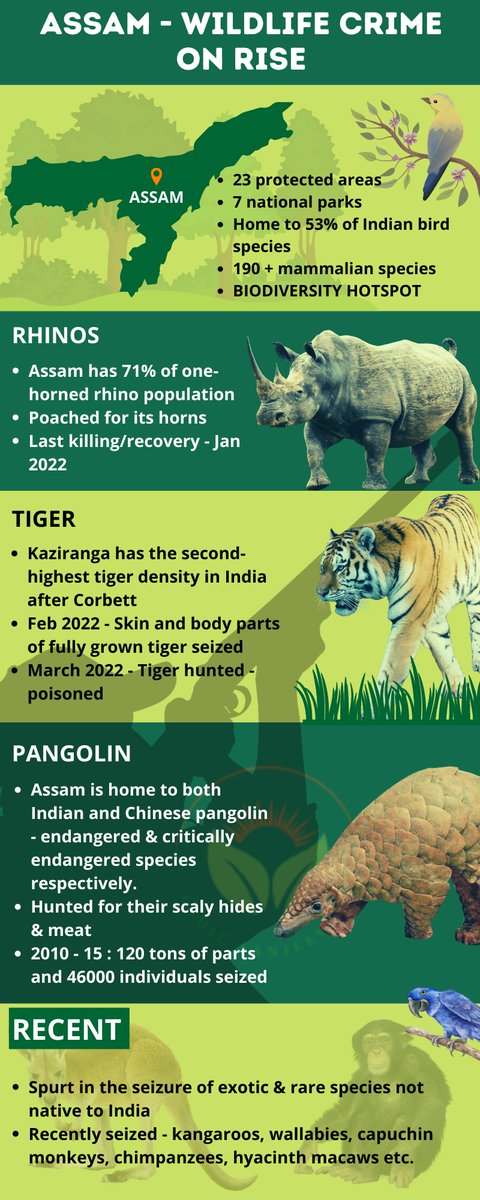 indicsanjeevani's tweet photo. #Wildlife Crime is thriving in #Assam. 
#Facts #EndangeredSpeciesDay https://t.co/GEJh1iGELZ