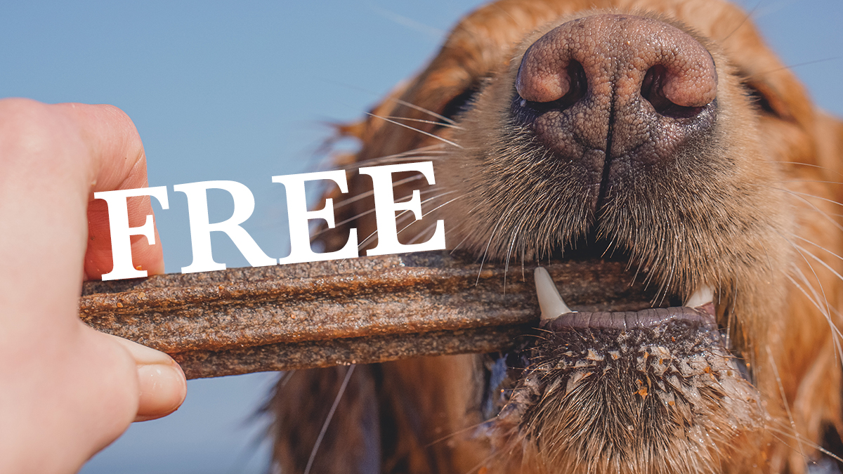 Forthglade Natural Pet Food tweet media