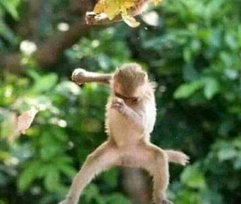 Do you remember when you joined Twitter? I do! #MyTwitterAnniversary