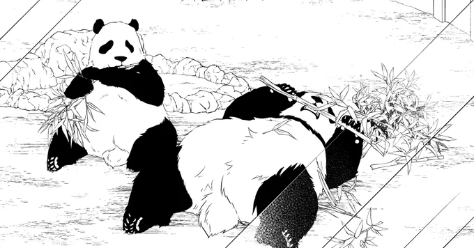 アシさんがいないと生きていけないな…と思いました 