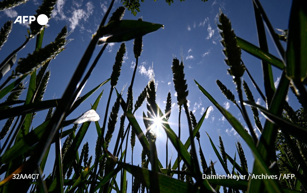 [Entretien] La transition agroécologique nécessitera une "réponse coordonnée au niveau européen" et devra aborder la question de "la réduction de la production animale", estime un chercheur #AFP 

➡️ u.afp.com/wuQp
Par <a href="/sbou75/">Sofia Bouderbala</a>