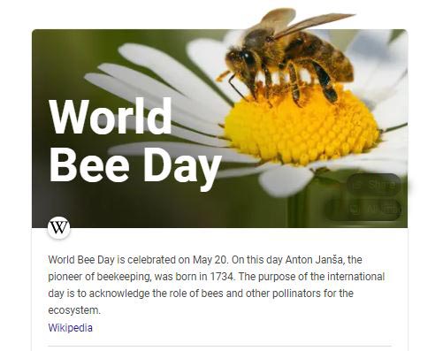 supra_fox's tweet photo. It's World #Bee Day
#beekeeping #pollination #environment #ecosystem #nature #wildlife #hive #apoidea #honey #AntonJansa https://t.co/ENlhdMHyZw