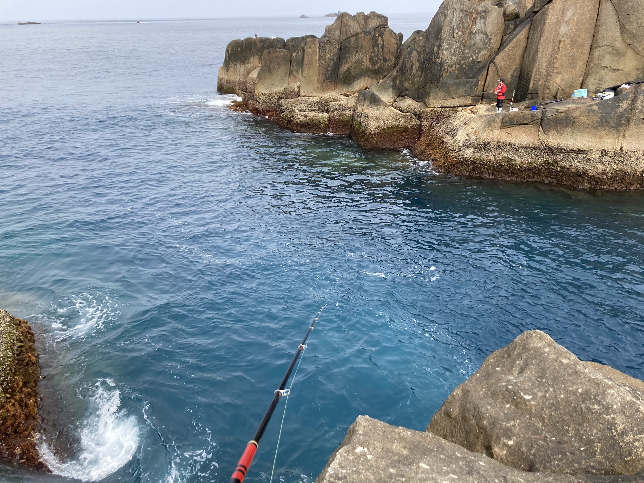 ししゃも Shishamo02 Twitter