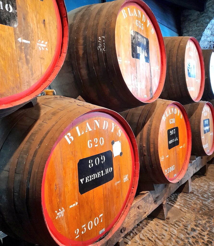 SilviaCorreia05's tweet photo. Happy Friday 🥳
The most famous product of Madeira has always been Madeira. 😉 🍷
Tbt a visit to #Blandys #MadeiraWineLodges.
#FridayVibes
#MadeiraIslands 🏝 https://t.co/wBWWGoYCYh