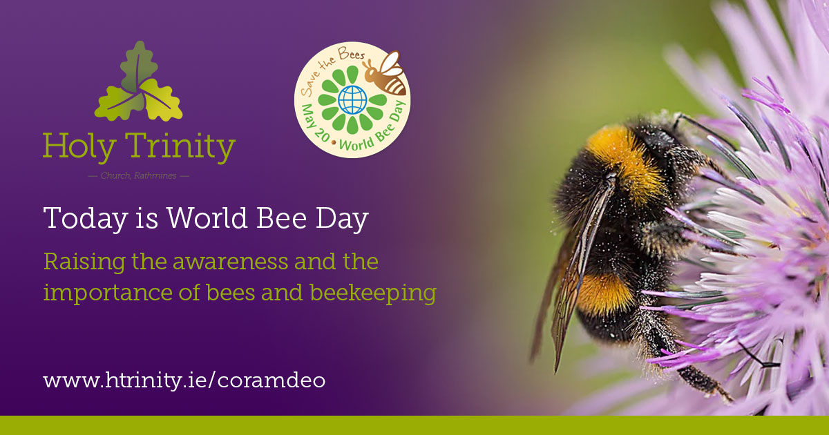 Holy Trinity tweet media