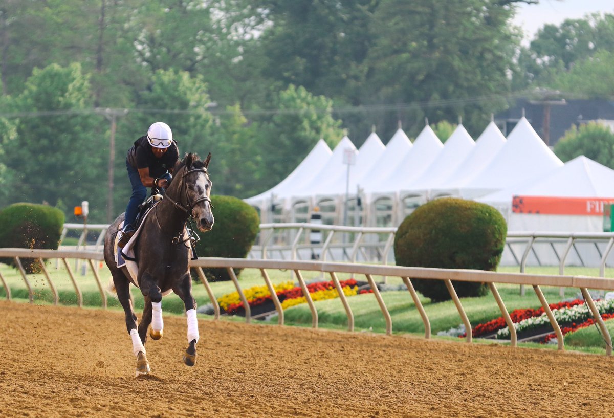 PreaknessStakes's tweet photo. #Fenwick and #CreativeMinister look ready for #Preakness147 πͺ https://t.co/DICrMv58yH