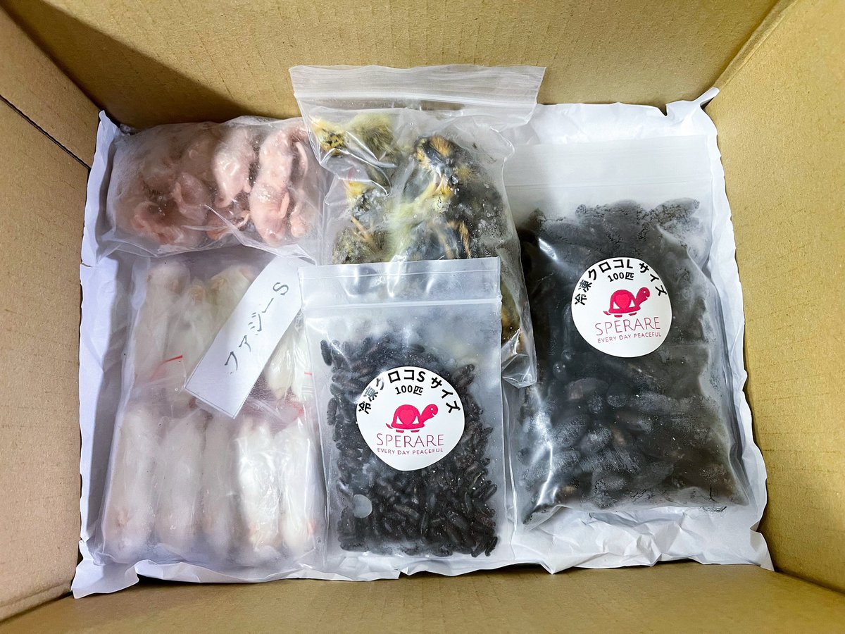 REP_SPERARE's tweet photo. 本日も通販サイトよりご注文ありがとうございました。
今週末土日は通常営業となります。
#爬虫類餌通販
#冷凍コオロギ🦗
#冷凍クロコ
#冷凍イエコ
#冷凍デュビア
#冷凍マウス
#MonitorFeed
#LeopaFeed
#モニターフィード
#レオパフィード https://t.co/lYYOdnjpmh