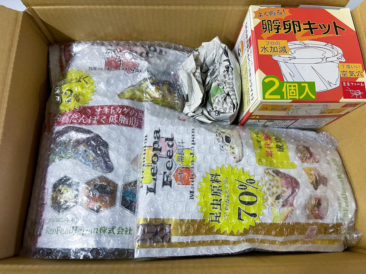 REP_SPERARE's tweet photo. 本日も通販サイトよりご注文ありがとうございました。
今週末土日は通常営業となります。
#爬虫類餌通販
#冷凍コオロギ🦗
#冷凍クロコ
#冷凍イエコ
#冷凍デュビア
#冷凍マウス
#MonitorFeed
#LeopaFeed
#モニターフィード
#レオパフィード https://t.co/lYYOdnjpmh