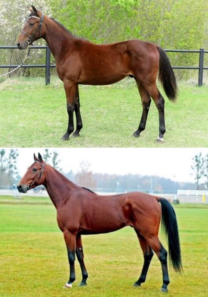 VinnaTillsammans.se tweet media