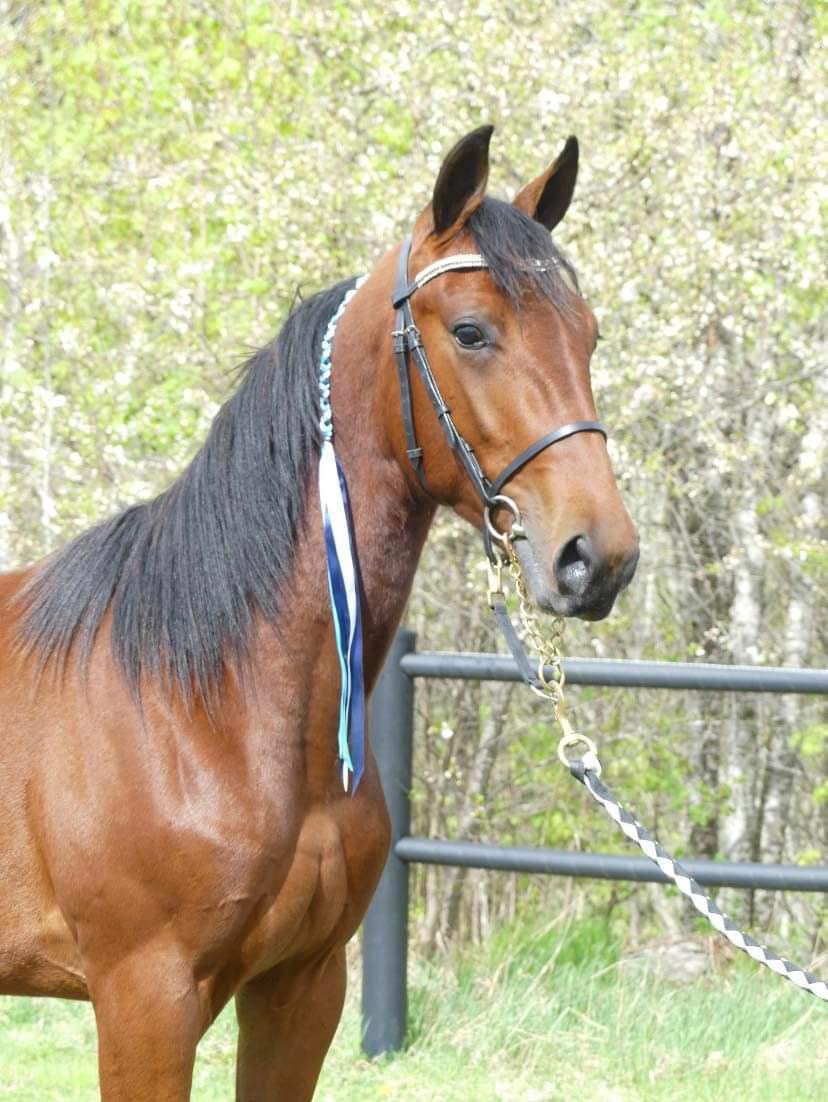 VinnaTillsammans.se tweet media