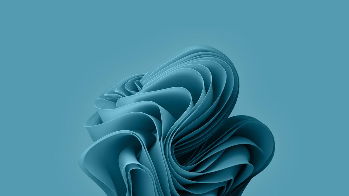 potapcomarov's tweet image. What do you think of my picture?