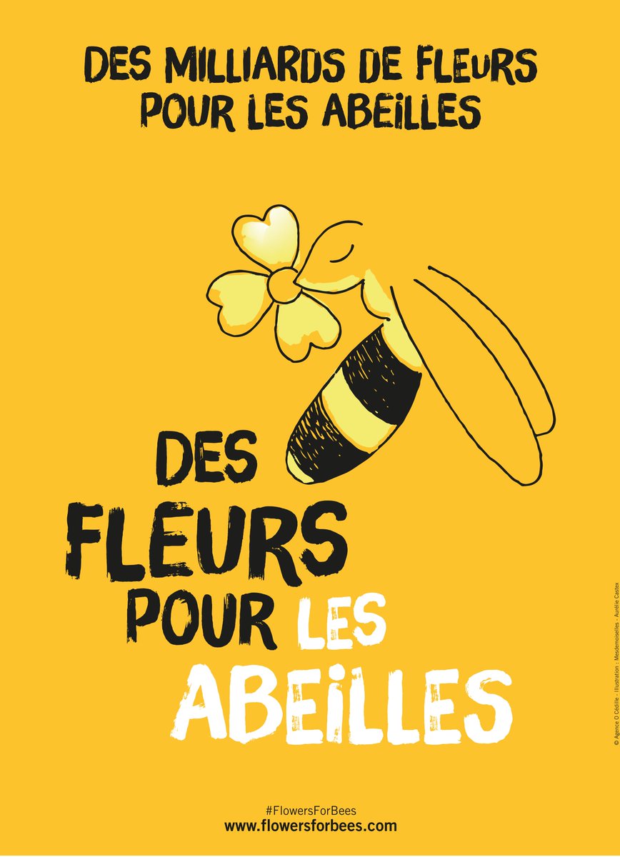 fforbees's tweet image. En cette journée mondiale des abeilles #WorldBeeDay, nous sommes heureux de lancer officiellement la 6ème édition de la campagne citoyenne Des Fleurs pour les #Abeilles ! Durant 1 mois on sème 😍 des fleurs pour les abeilles 🐝 #FlowersForBees @fforbees